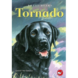 Tornado Betsy Byars