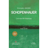 Schopenhauer: Çok Kısa Bir Başlangıç Christopher Janaway
