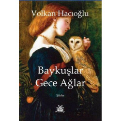 Baykuşlar Gece Ağlar-Şiirler Volkan Hacıoğlu