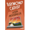 Azgın Mevsimler Raymond Carver