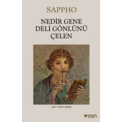 Nedir Gene Deli Gönlünü Çelen Sappho