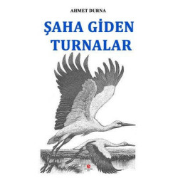 Şaha Giden Turnalar Ahmet Durna