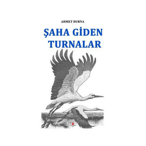 Şaha Giden Turnalar Ahmet Durna