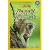 National Geographic Kids - Okul Öncesi Ağaçtaki Maymun Susan B. Neuman