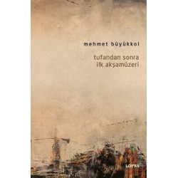 Tufandan Sonra İlk Akşamüzeri Mehmet Büyükkol