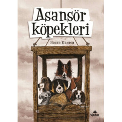 Asansör Köpekleri - Hasan Karaca