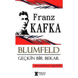 Blumfeld-Geçkin Bir Bekar Franz Kafka
