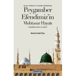 Peygamber Efendimiz'in Muhtasar Hayatı Ahmed Cevdet Paşa