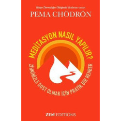 Meditasyon Nasıl Yapılır Pema Chödrön