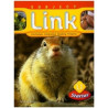 Subject Link Starter L1 with Workbook Amy Gradin