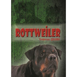 Rottweiler Yıldırım Çelebi