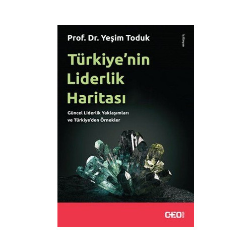 Türkiyenin Liderlik Haritası Yeşim Toduk