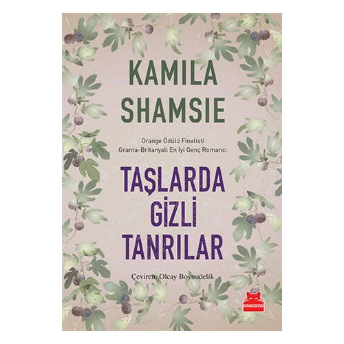 Taşlarda Gizli Tanrılar - Kamila Shamsie
