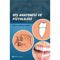 Diş Anatomisi ve Fizyolojisi  Kolektif