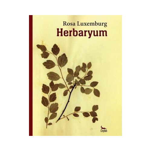 Herbaryum Rosa Luxemburg