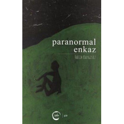 Paranormal Enkaz Fatih Kaygısız