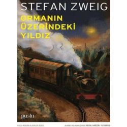 Ormanın Üzerindeki Yıldız Stefan Zweig