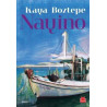 Nayino Kaya Boztepe