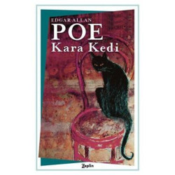 Kara Kedi Edgar Allan Poe