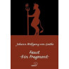Faust - Ein Fragment - Almanca Johann Wolfhang Von Goethe