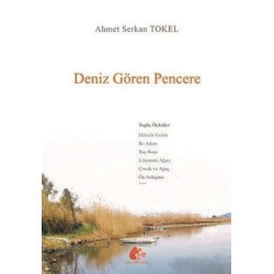 Deniz Gören Pencere Ahmet Serkan Tokel