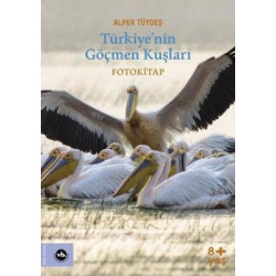 Türkiyenin Göçmen Kuşları - Fotokitap Alper Tüydeş
