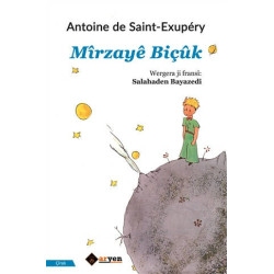 Mirzaye Biçük Antoine de Saint-Exupery