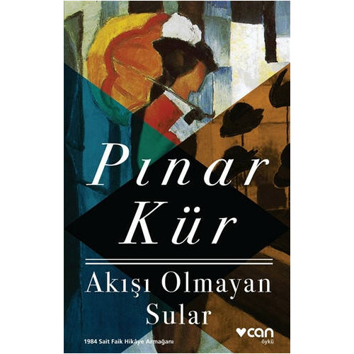 Akışı Olmayan Sular - Pınar Kür