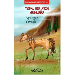 Topal Bir Atın Günlüğü - Aydoğan Yavaşlı