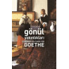 Gönül Yakınlıkları Johann Wolfgang Von Goethe