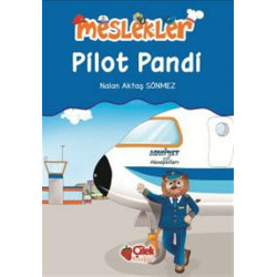 Pilot Pandi - Nalan Aktaş Sönmez