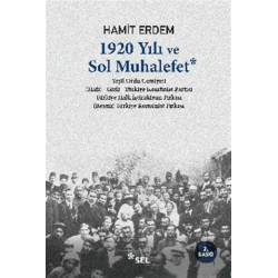 1920 Yılı ve Sol Muhalefet - Hamit Erdem