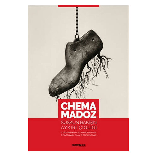 Chema Madoz: Suskun Bakışın Aykırı Çığlığı     - Oliva Maria Rubio