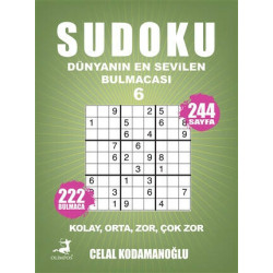 Sudoku Dünyanın En Sevilen Bulmacası 6 Celal Kodamanoğlu