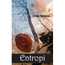 Entropi - Serkan Yılmazkurt